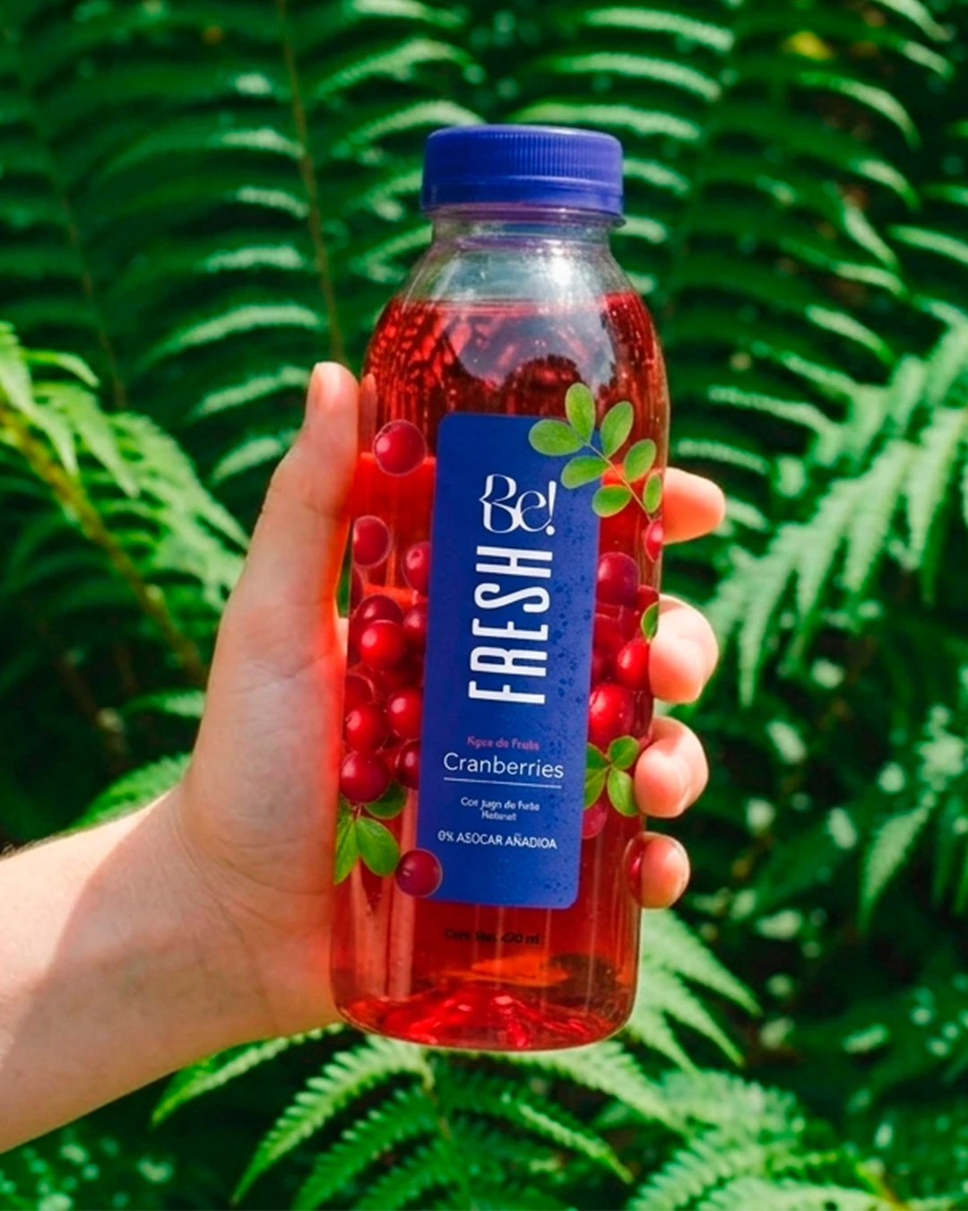 Cranberries Be! FRESH + Vitamina C - Imagen 2
