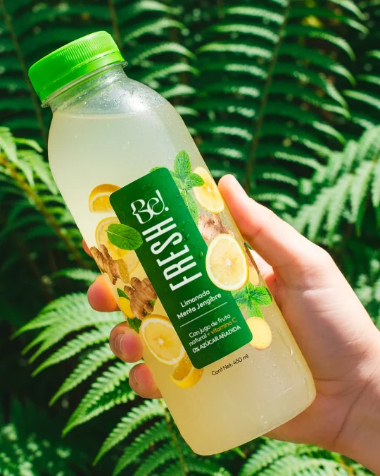 Limonada menta jengibre Be FRESH + Vitamina C